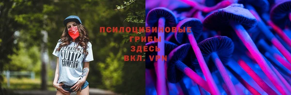 гидропоника Елабуга