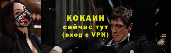 гидропоника Елабуга