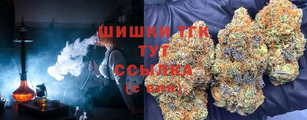 гидропоника Елабуга