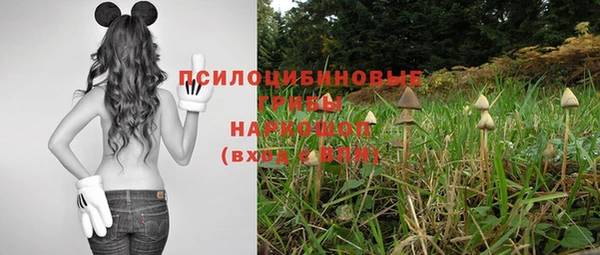 MDMA Елизово