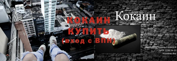 гидропоника Елабуга