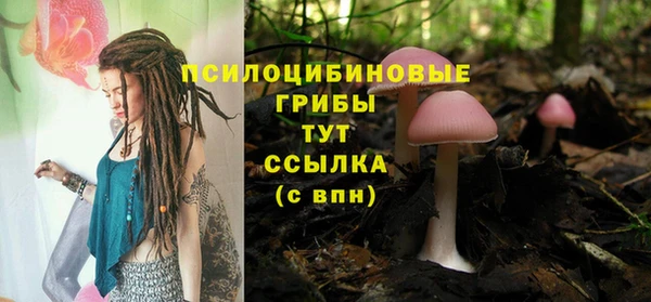гидропоника Елабуга