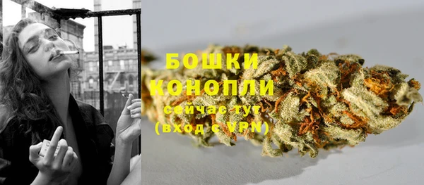 гидропоника Елабуга
