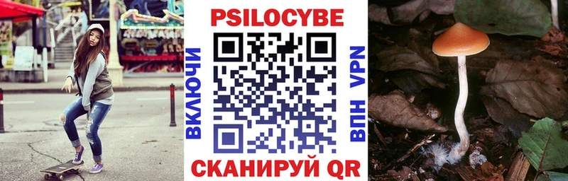 Галлюциногенные грибы MAGIC MUSHROOMS  даркнет сайт  hydra как войти  Зеленоградск 